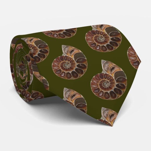 Ammonite Fossil Stropdas (Opgerold)