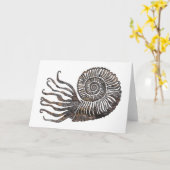 Ammonite Fossil Talking Canyons, New Mexico Kaart (Gele Bloem)