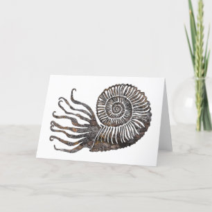 Ammonite Fossil Talking Canyons, New Mexico Kaart