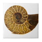 Ammonite Fossil Tegeltje (Voorkant)