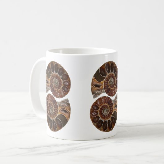 Ammonite Fossils Mok (Voorkant links)