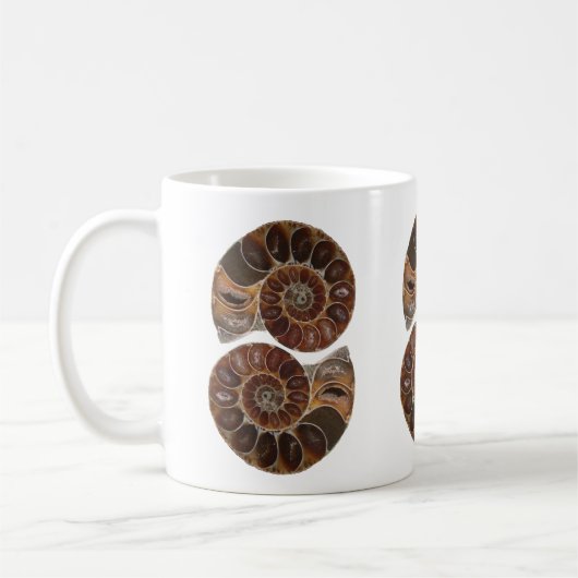 Ammonite Fossils Mok (Links)