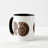 Ammonite Fossils Mok (Voorkant links)