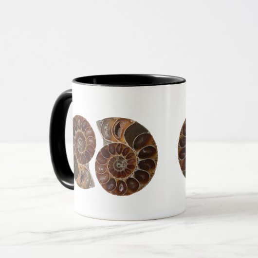 Ammonite Fossils Mok (Voorkant links)