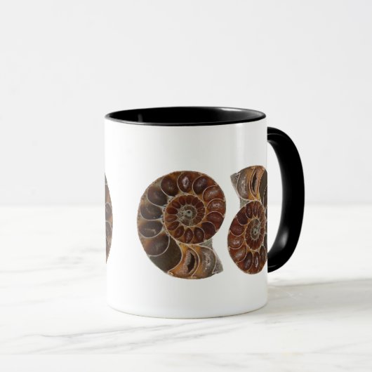Ammonite Fossils Mok (Voorkant rechts)
