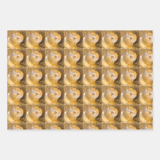 Ammonite Fossils Rock Natuur Inpakpapier Vel (Voorkant 2)