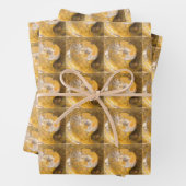 Ammonite Fossils Rock Natuur Inpakpapier Vel (In situ)