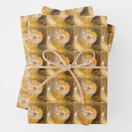 Ammonite Fossils Rock Natuur Inpakpapier Vel (In situ)