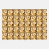 Ammonite Fossils Rock Natuur Inpakpapier Vel (Voorkant 3)