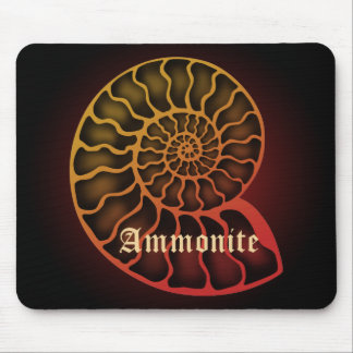 Ammonite Muismat