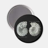 Ammonitoren Magneet (Voorkant / Achterkant)