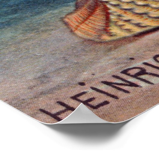 Ammonitoren Poster (Hoek)