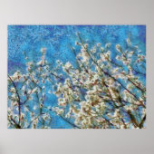 Ammoniumbloesem en blauwe hemel in gekleurde kunst poster (Voorkant)