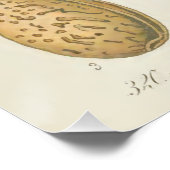 Ammoniumboom, Amygdalus communis Poster (Hoek)