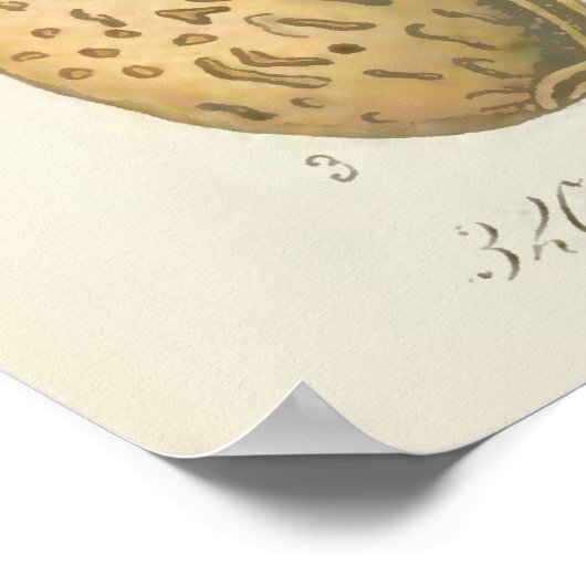 Ammoniumboom, Amygdalus communis Poster (Hoek)