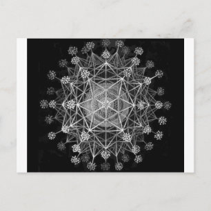 Amoboid Protozoans Briefkaart