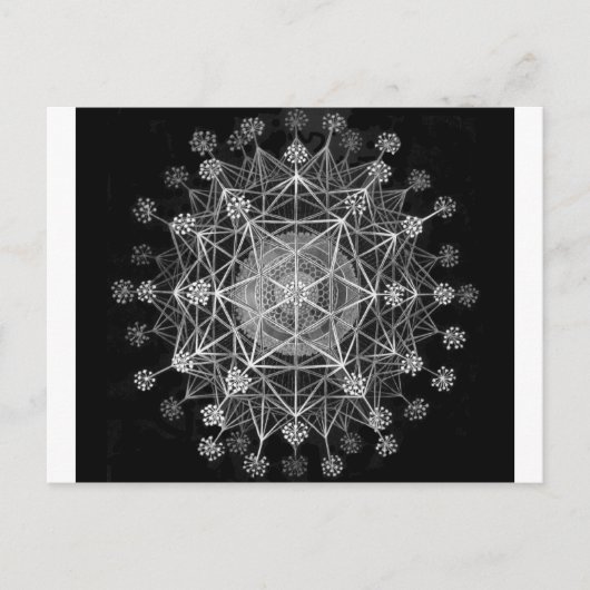 Amoboid Protozoans Briefkaart (Voorkant)