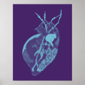 Amoeba Minx: Diepe Oceaan Poster (Voorkant)