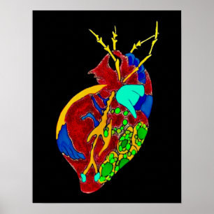 Amoeba Minx en alle fratsen Poster