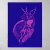 Amoeba Minx: Orchidee Petals Poster (Voorkant)