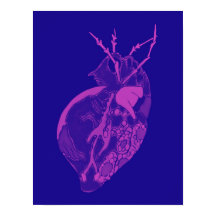 Amoeba Minx: Orchidee Petals