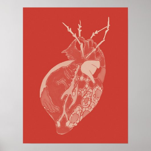 Amoeba Minx: Ruwbalsem Poster (Voorkant)