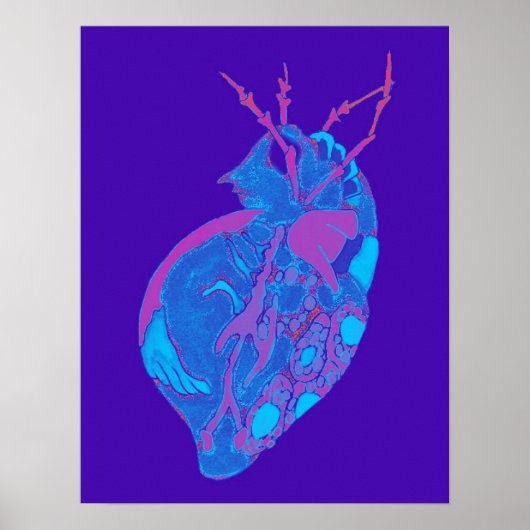 Amoeba Minx: Shockwave Blues Poster (Voorkant)