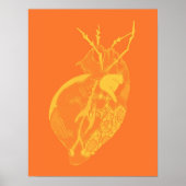 Amoeba Minx: Tangerine huid Poster (Voorkant)