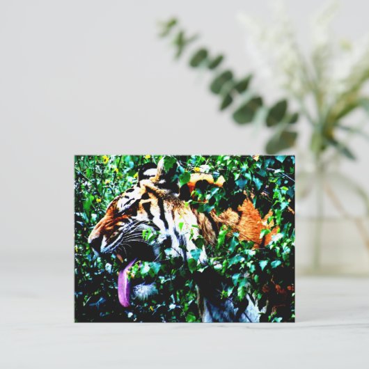 Amoer Tiger pc arc4 Briefkaart (Staand voorkant)