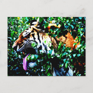 Amoer Tiger pc arc4 Briefkaart