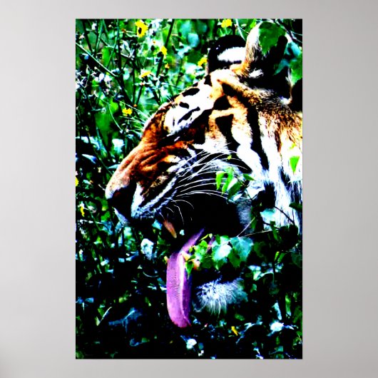 Amoer Tiger wapa Poster (Voorkant)