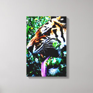 Amoer Tijger 11x16.5 (27.5x41.25cm) waccna Canvas Afdruk