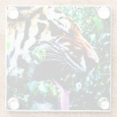 Amoer tijger coastercnm glazen onderzetter (Achterkant)