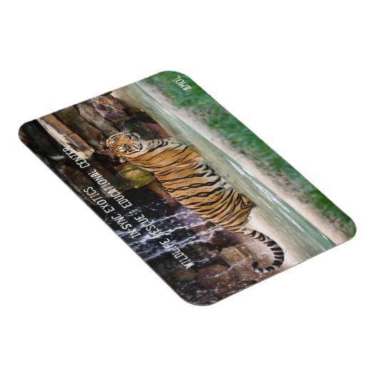 Amol - magneet (Rechterzijde)