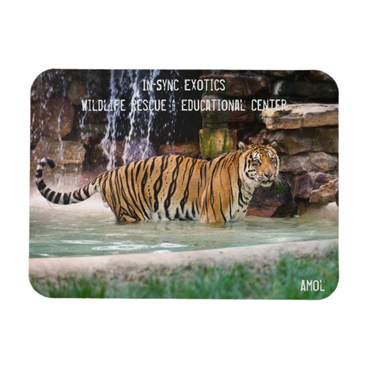 Amol - magneet (Horizontaal)