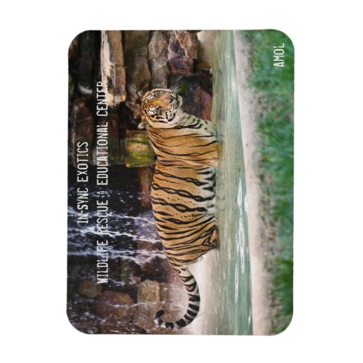 Amol - magneet (Verticaal)