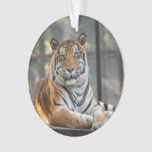 Amol - ornament (voorkant)