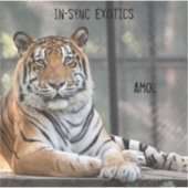 Amol - sticker (Voorkant)