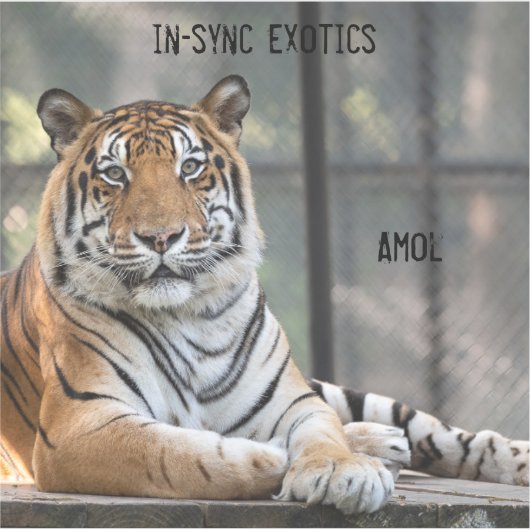 Amol - sticker (Voorkant)