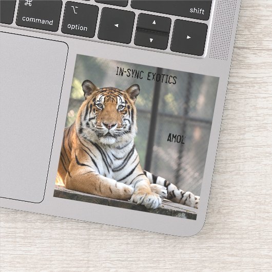 Amol - sticker (Detail)