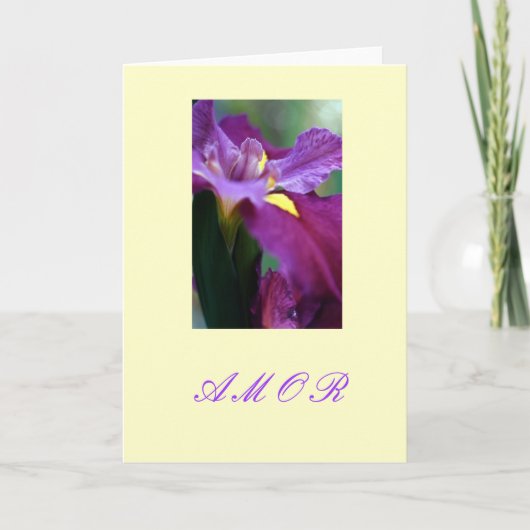 "Amor " Feestdagen Kaart (Voorkant)