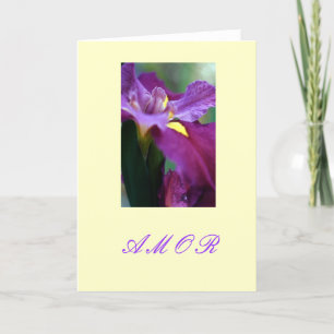 "Amor " Feestdagen Kaart