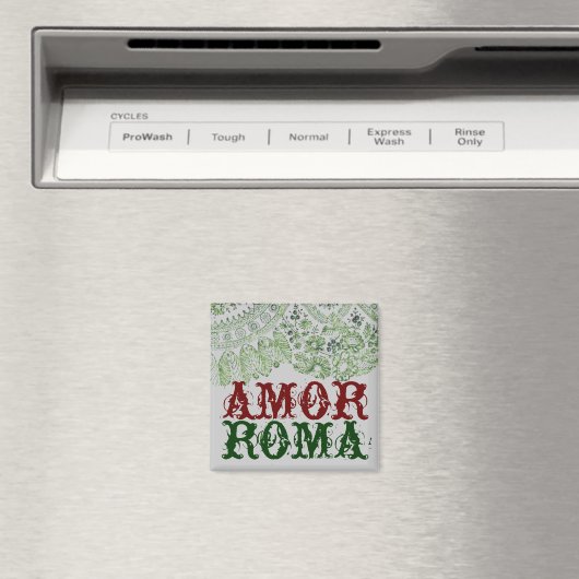 Amor Roma met groene kant Magneet (Insitu (Vaatwasser))