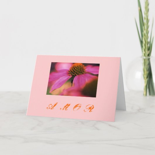 "Amor van Echinacea y " Feestdagen Kaart (Voorkant)