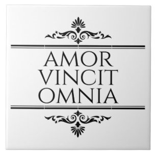 Amor Vincit Omnia Love verovert alle Latijnse zinn Tegeltje