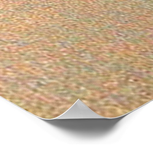 Amos 1 Amos spreekt Gods Word poster (Hoek)