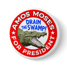 Amos Mozes voor President