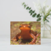 Amphibian Oregon Corvallis Reptile Briefkaart (Staand voorkant)