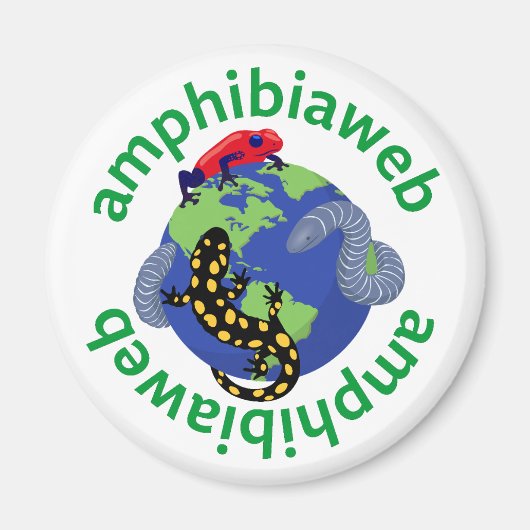 AmphibiaWeb magnet (Voorkant)