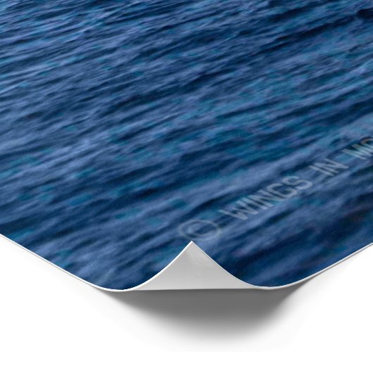 AMPHIBIOUS ASSAULT SHIP - LHD-2 POSTER (Hoek)